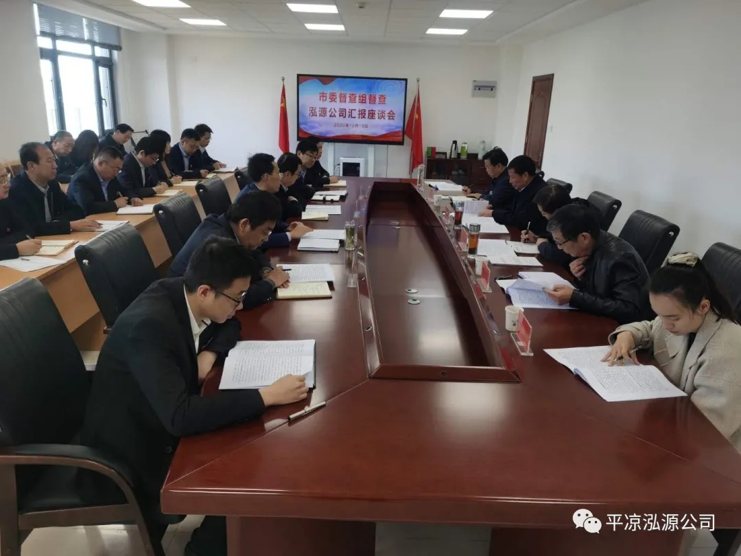市委辦公室、市政府國資委督查泓源公司工作(圖4)